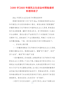 2025年度民主生活会对照检查材料领导班子