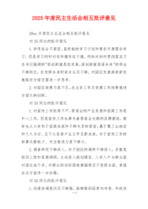 2025年度民主生活会相互批评意见