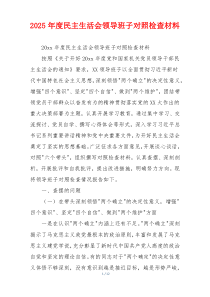 2025年度民主生活会领导班子对照检查材料