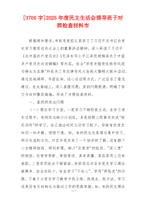 2025年度民主生活会领导班子对照检查材料市