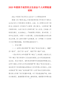 2025年度班子成员民主生活会个人对照检查材料