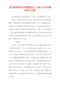 党支部宣传学习贯彻党的二十届三中全会精神学习方案