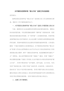 乡开展优化营商环境暖心行动监督工作总结报告