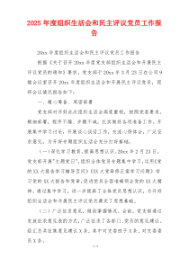 2025年度组织生活会和民主评议党员工作报告