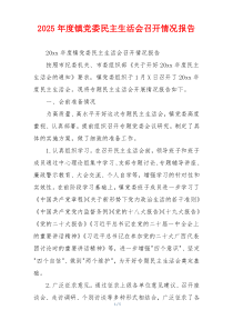 2025年度镇党委民主生活会召开情况报告