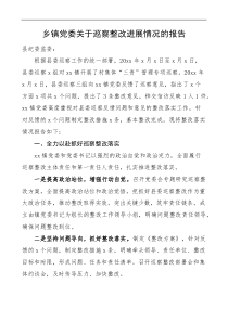 乡镇党委关于巡察整改进展情况的报告