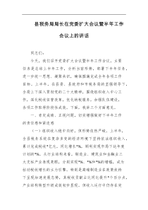 县税务局局长在党委扩大会议暨半年工作会议上的讲话