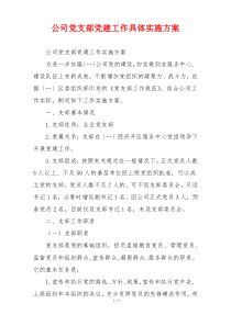 公司党支部党建工作具体实施方案