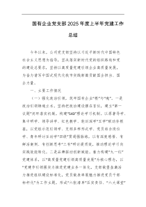国有企业党支部2025年度上半年党建工作总结