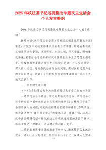 2025年政法委书记巡视整改专题民主生活会个人发言提纲