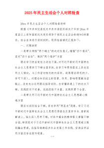 2025年民主生活会个人对照检查