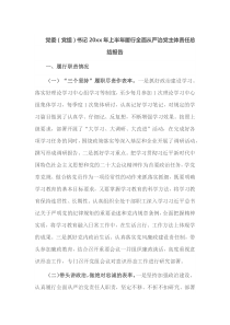党委党组书记20XX年上半年履行全面从严治党主体责任总结报告