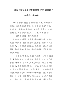 供电公司党委书记专题学习2025年政府工作报告心得体会