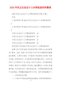 2025年民主生活会个人对照检查材料整理