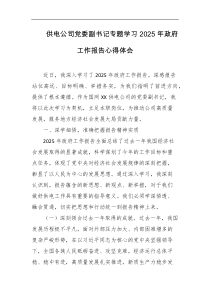 供电公司党委副书记专题学习2025年政府工作报告心得体会
