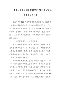 供电公司班子成员专题学习2025年政府工作报告心得体会