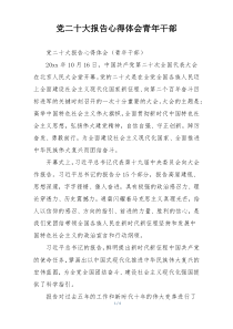 党二十大报告心得体会青年干部