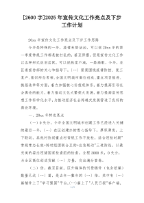 [2600字]2025年宣传文化工作亮点及下步工作计划