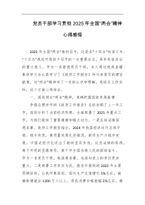 党员干部学习贯彻2025年全国两会精神心得感悟