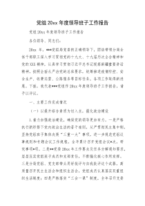 党组20XX年度领导班子工作报告