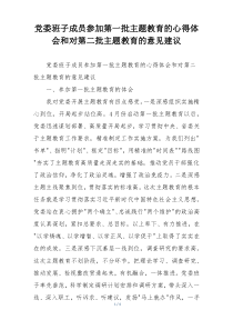党委班子成员参加第一批主题教育的心得体会和对第二批主题教育的意见建议