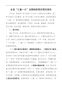 全县三重一大决策制度落实情况报告