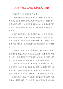 2025年民主生活会批评意见30条