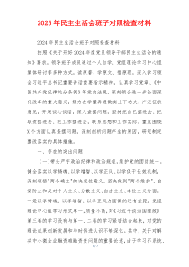 2025年民主生活会班子对照检查材料