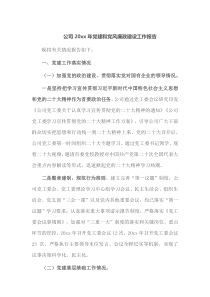 公司20XX年党建和党风廉政建设工作报告