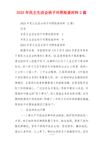 2025年民主生活会班子对照检查材料2篇