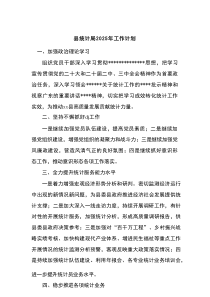 【最新】县统计局2025年工作计划