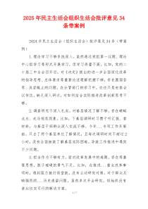 2025年民主生活会组织生活会批评意见34条带案例
