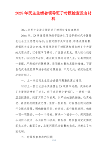 2025年民主生活会领导班子对照检查发言材料