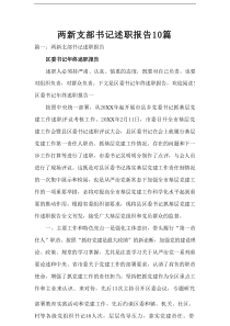 两新支部书记述职报告10篇