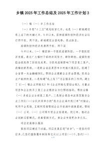 乡镇2025年工作总结及2025年工作计划3
