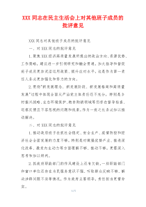 XXX同志在民主生活会上对其他班子成员的批评意见