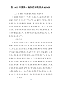 县2025年发展村集体经济具体实施方案