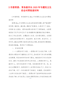 X市委常委、常务副市长2025年专题民主生活会对照检查材料