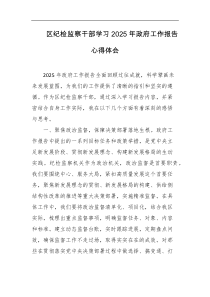 区纪检监察干部学习2025年政府工作报告心得体会