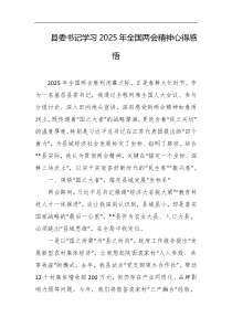 县委书记学习2025年全国两会精神心得感悟
