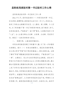 县财政局派驻村第一书记驻村工作心得