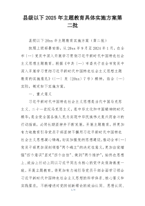 县级以下2025年主题教育具体实施方案第二批