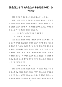 国企员工学习《安全生产考核巡查办法》心得体会