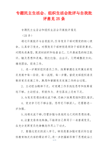 专题民主生活会、组织生活会批评与自我批评意见25条
