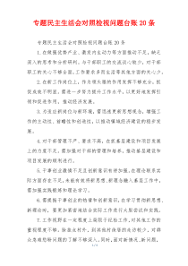 专题民主生活会对照检视问题台账20条