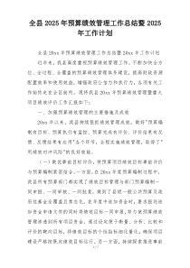 全县2025年预算绩效管理工作总结暨2025年工作计划