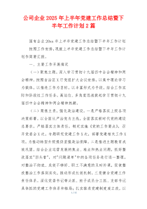 公司企业2025年上半年党建工作总结暨下半年工作计划2篇