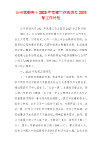 公司党委关于2025年党建工作总结及2025年工作计划