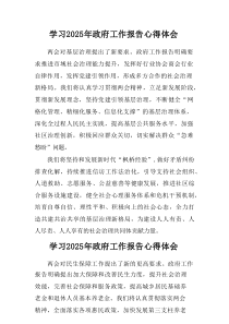 学习2025年《中央政府工作报告》个人心得体会（合计5篇）