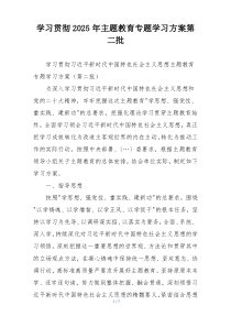 学习贯彻2025年主题教育专题学习方案第二批